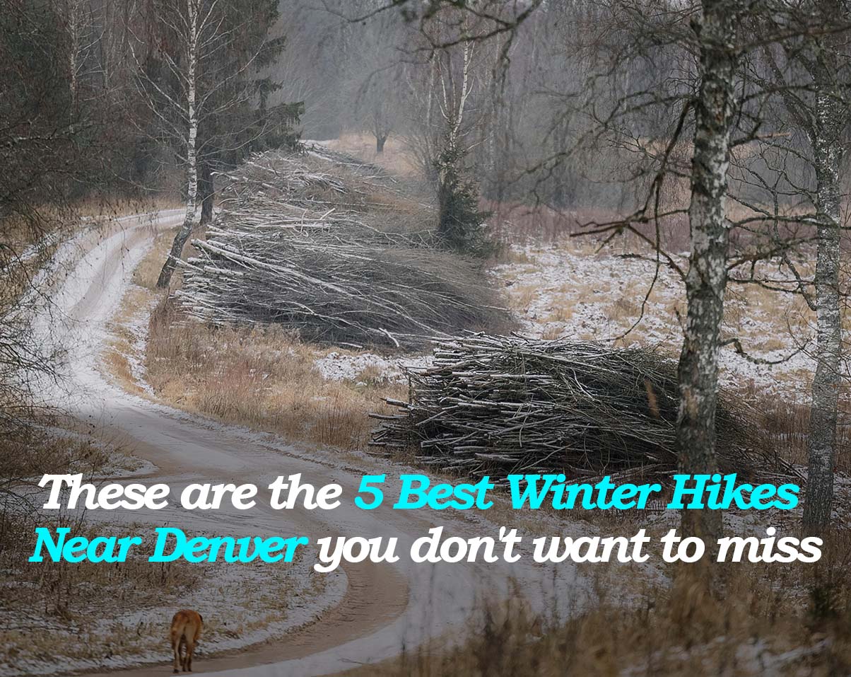 These are the 5 Best Winter Hikes Near Denver you don't want to miss